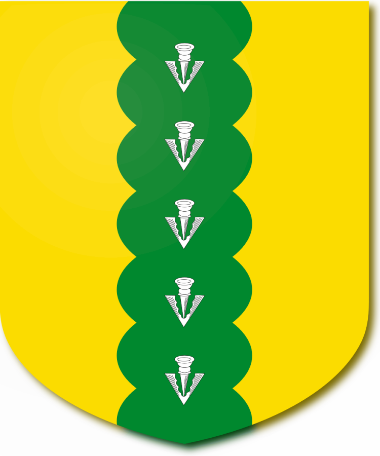 Shield image