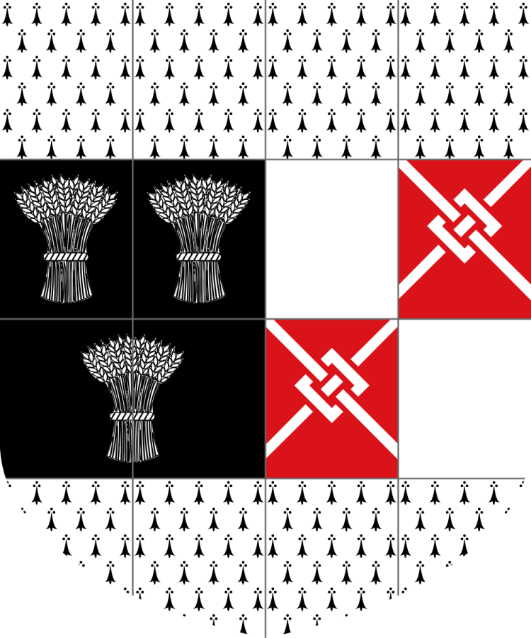 Shield image