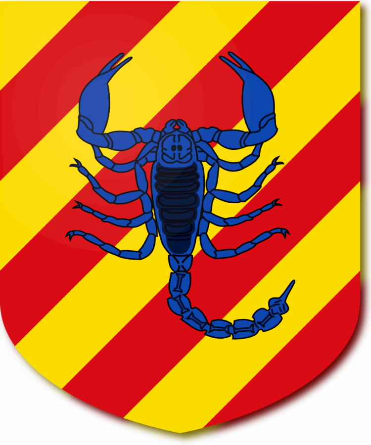 Shield image