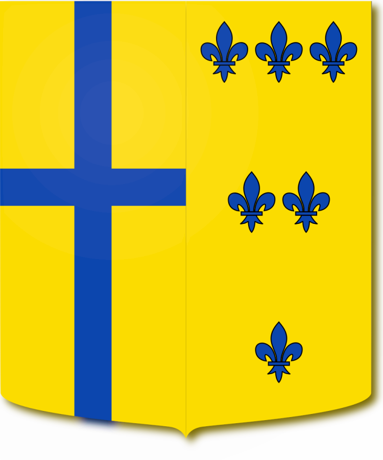 Shield image