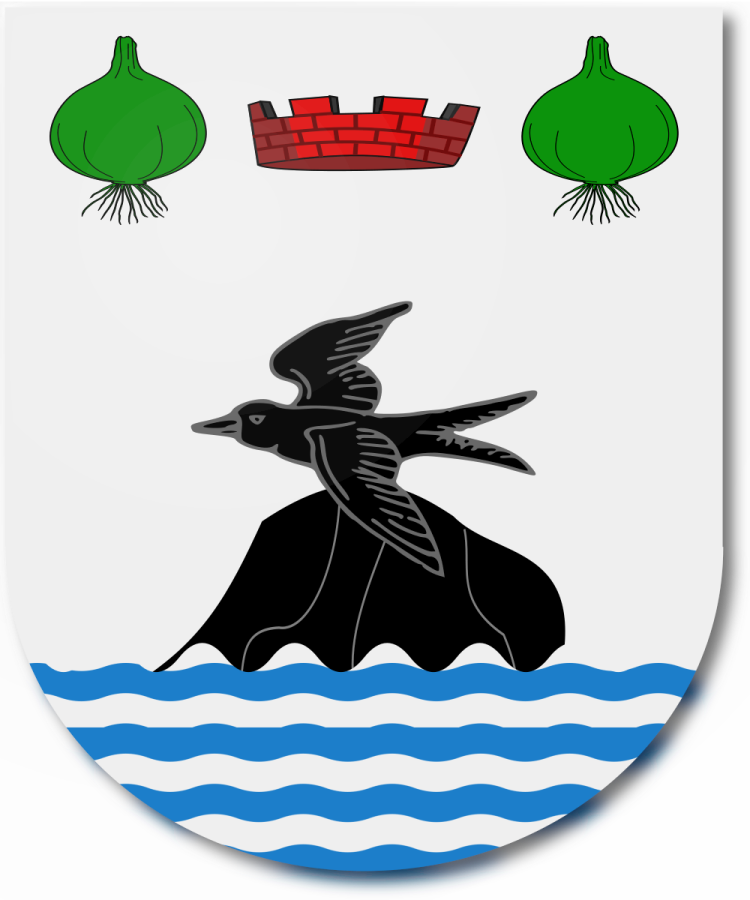 Shield image