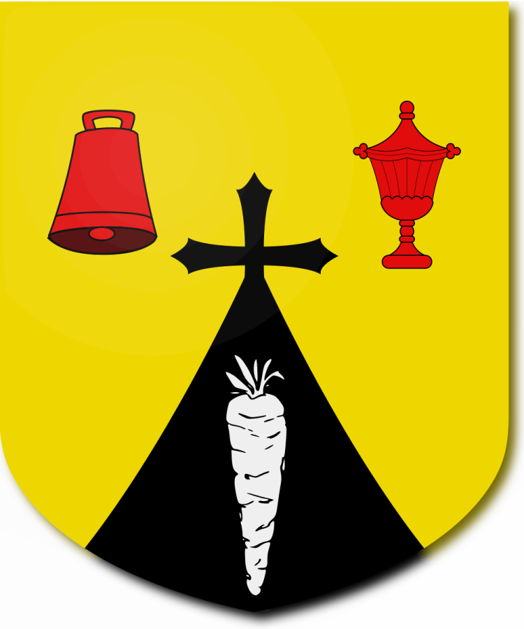 Shield image