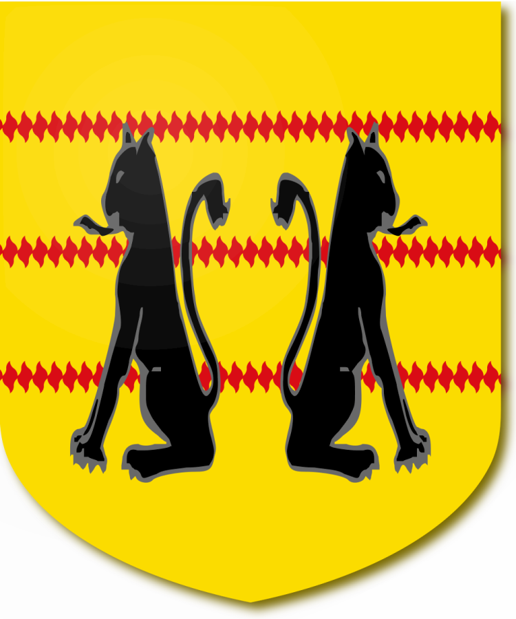 Shield image