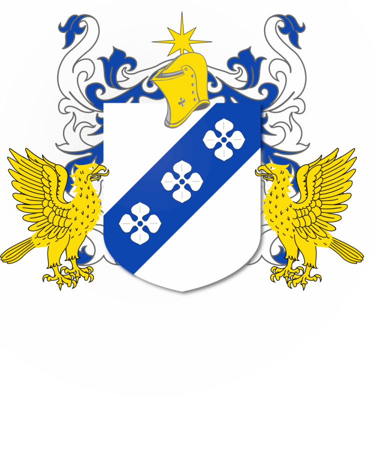 Shield image