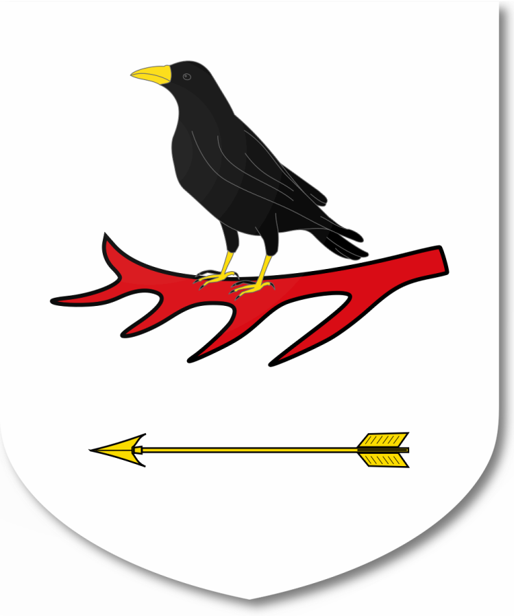 Shield image