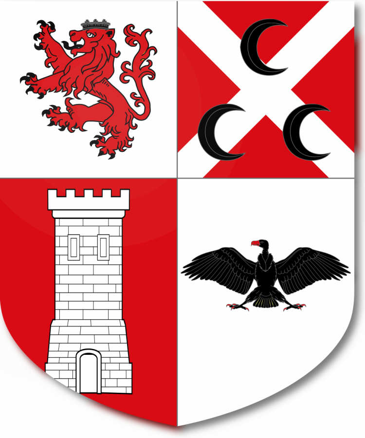 Shield image