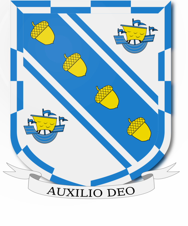 Shield image