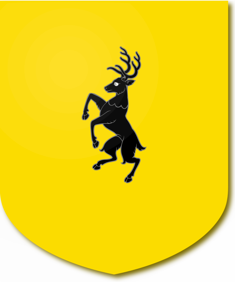 Shield image