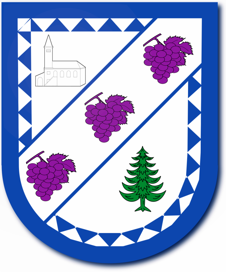 Shield image