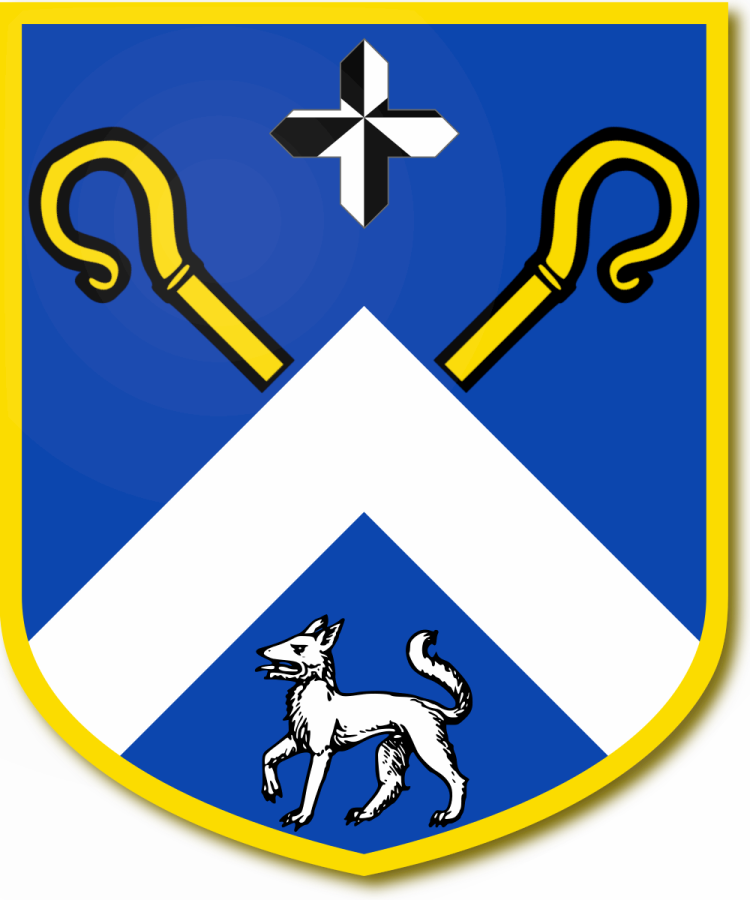 Shield image