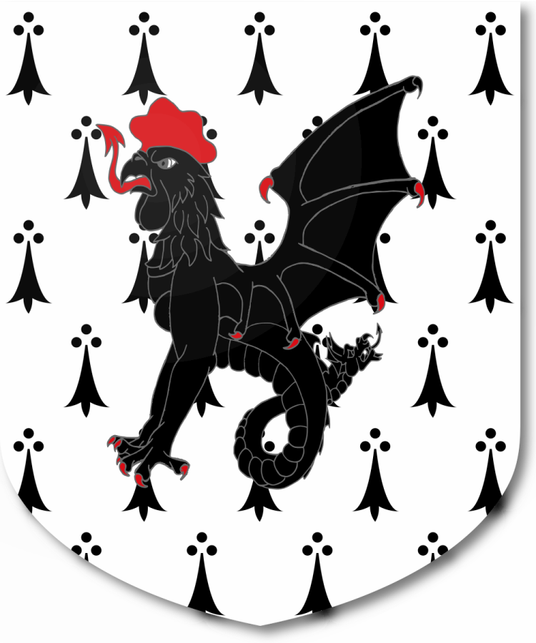 Shield image