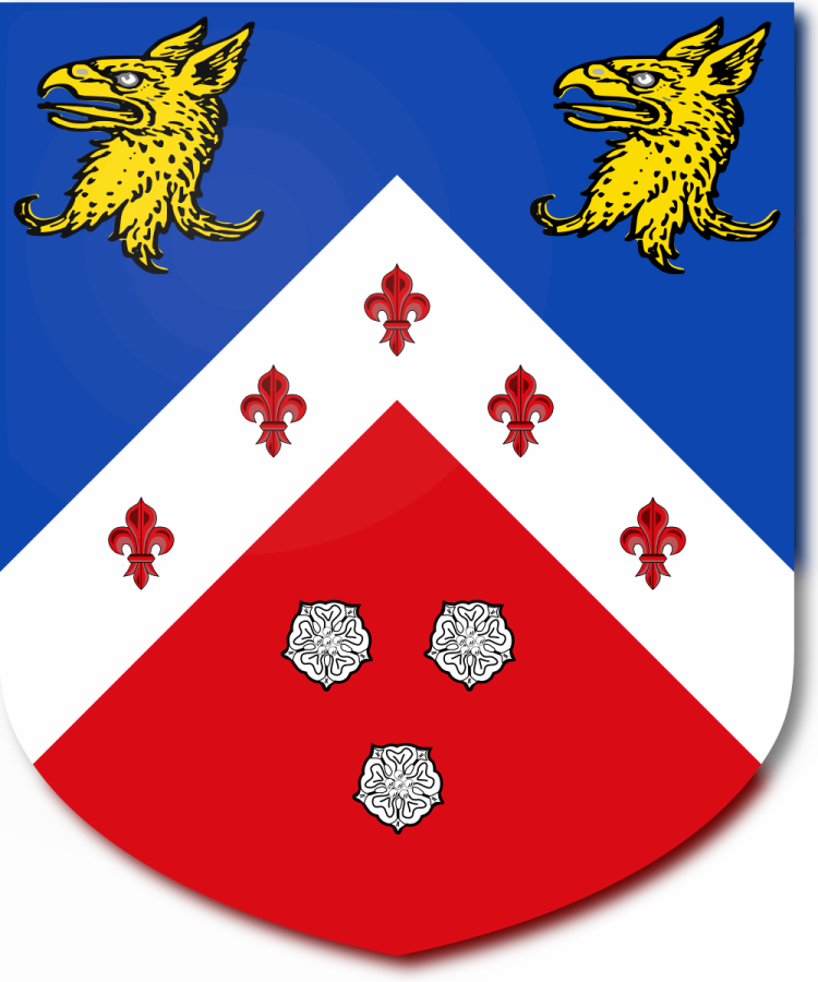 Shield image