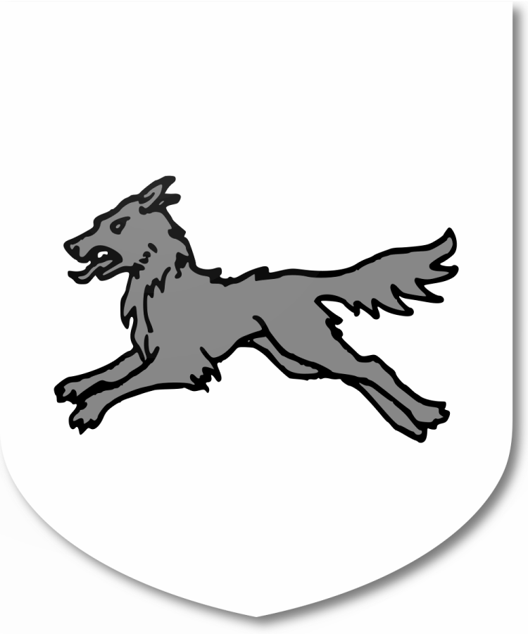 Shield image