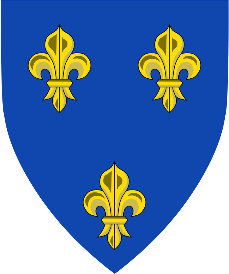 Shield image