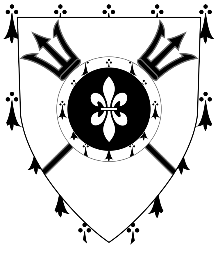 Shield image