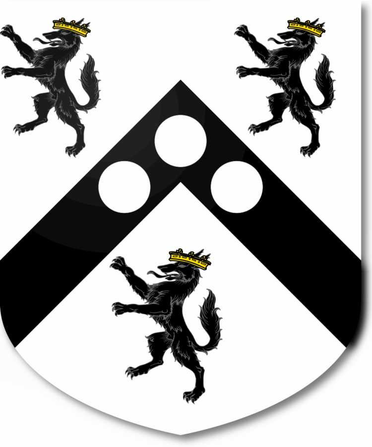 Shield image