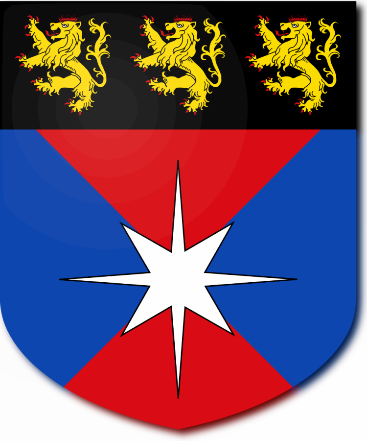 Shield image