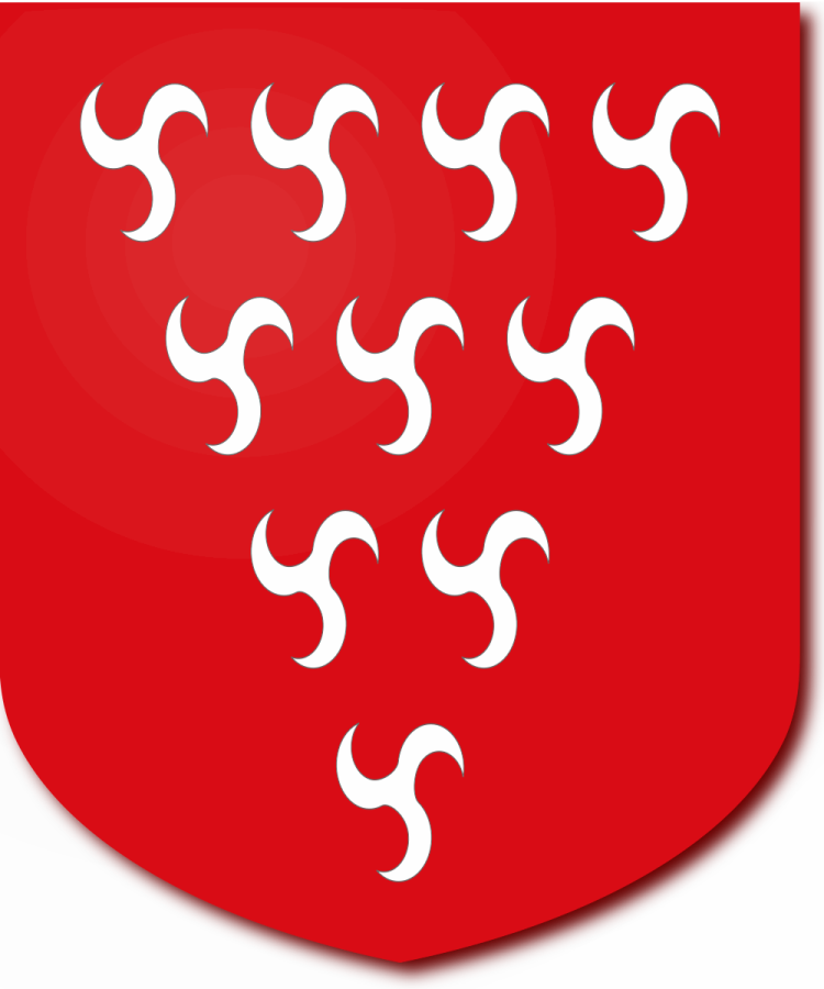 Shield image