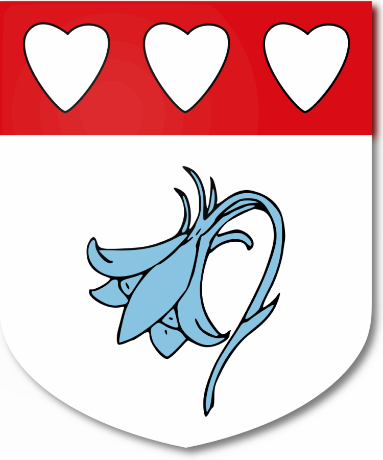 Shield image