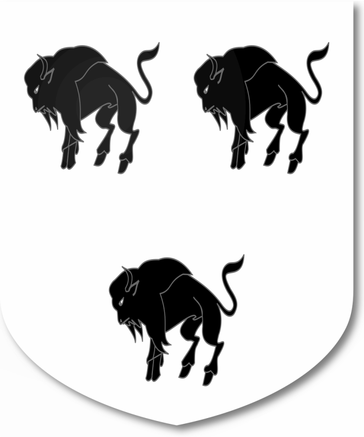 Shield image