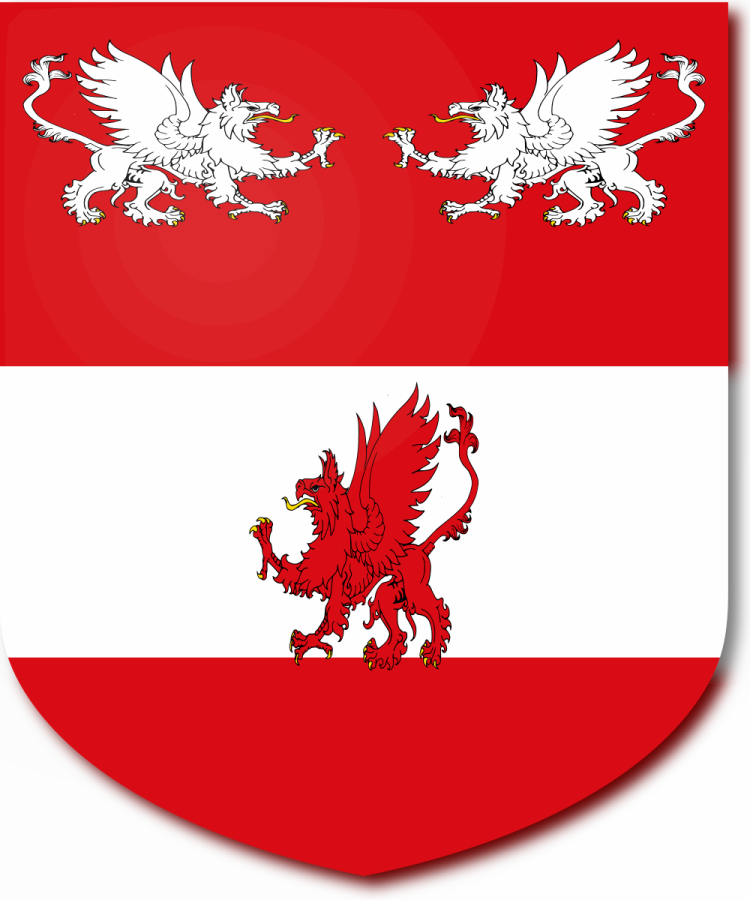 Shield image