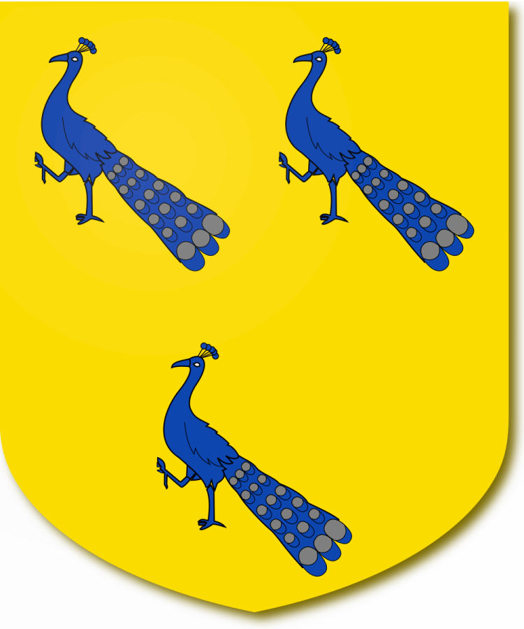 Shield image