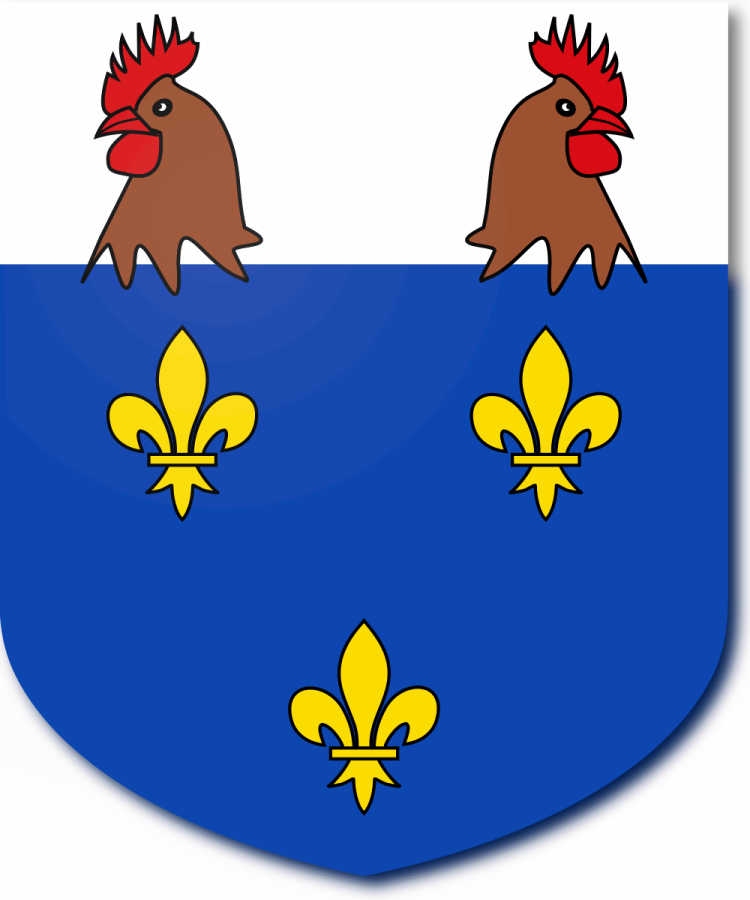 Shield image