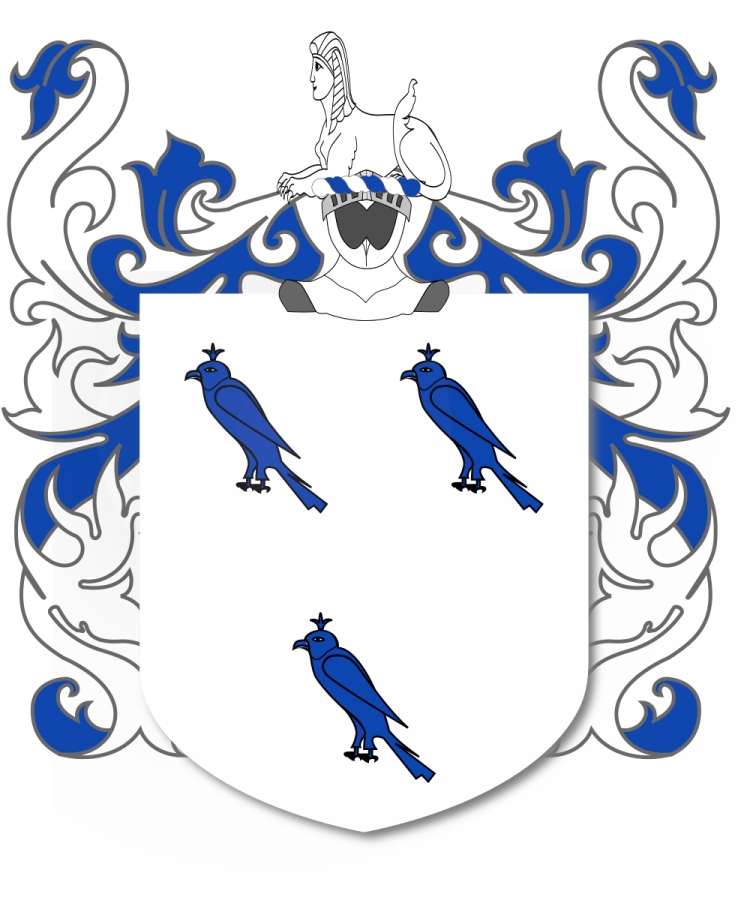 Shield image