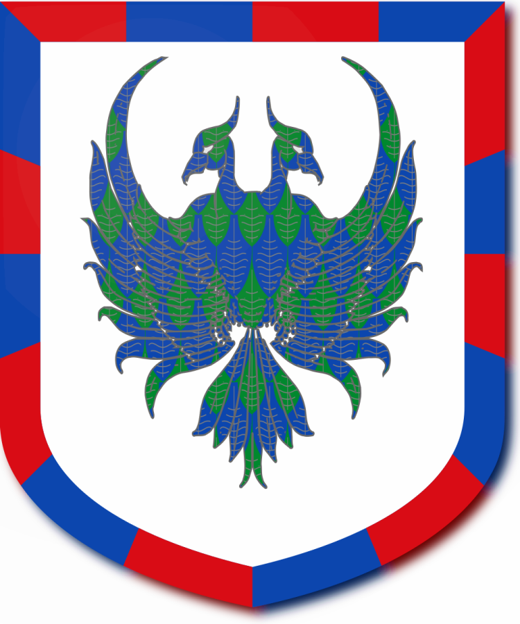 Shield image