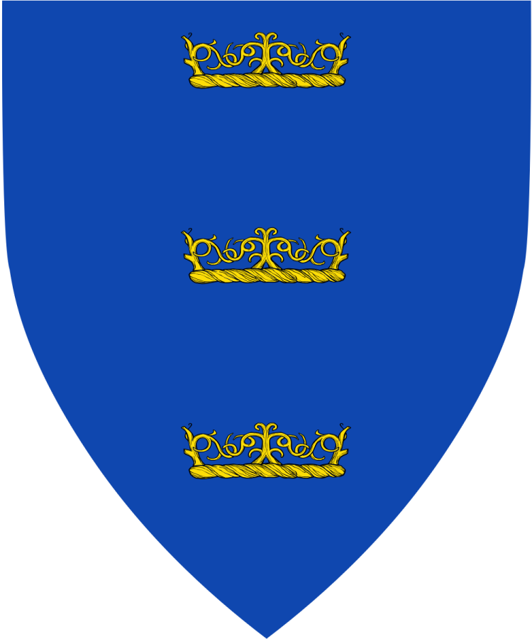 Shield image