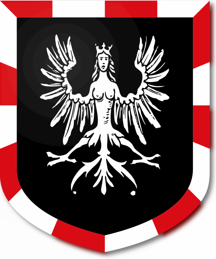 Shield image