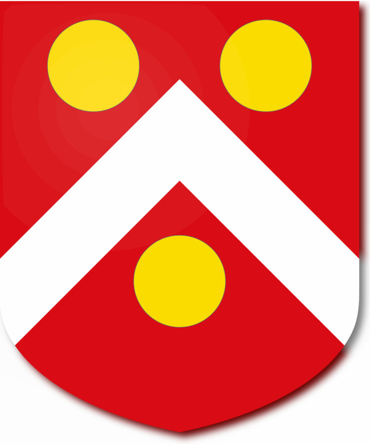 Shield image