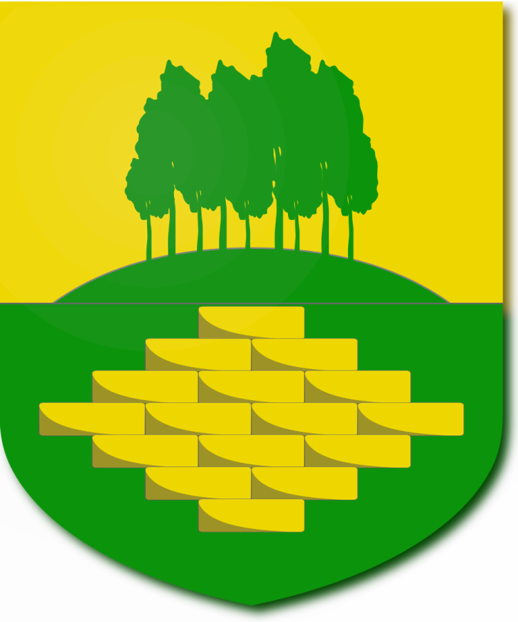 Shield image