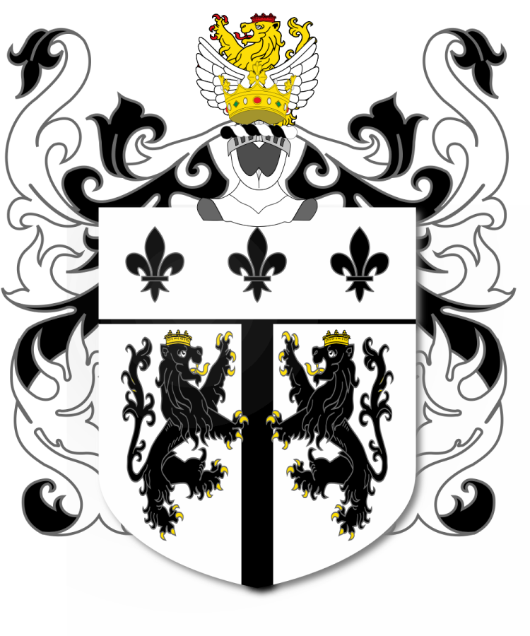 Shield image