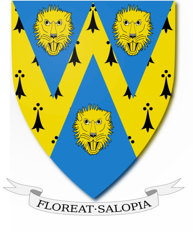 Shield image