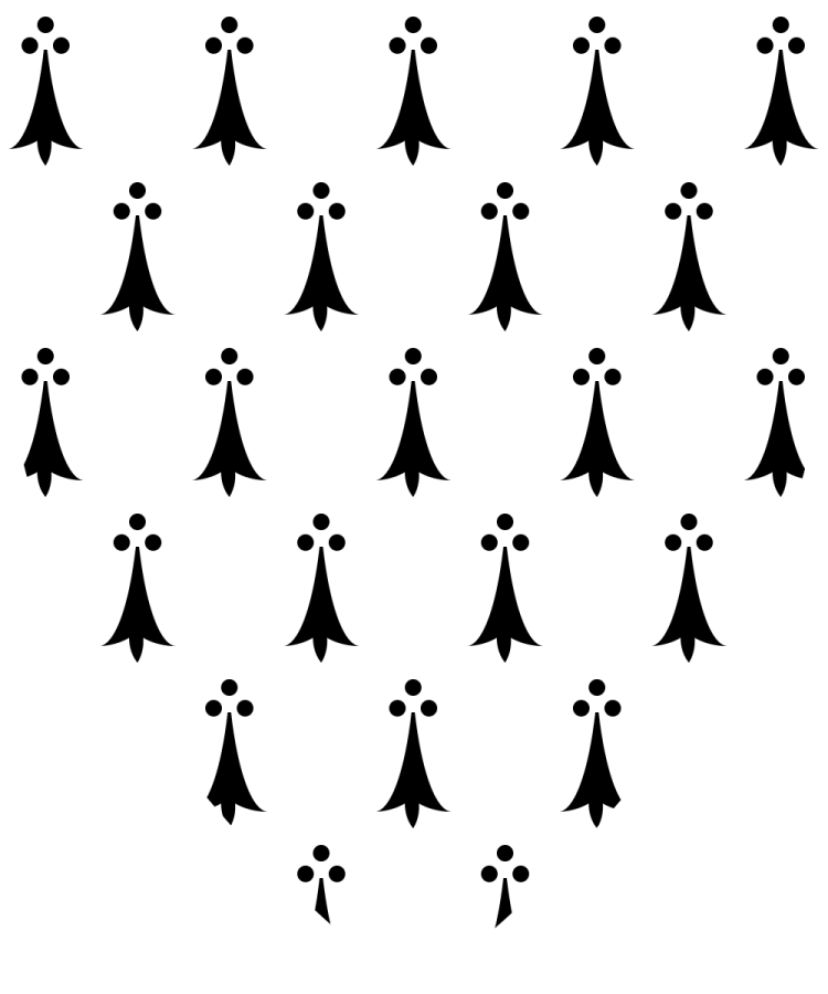 Shield image