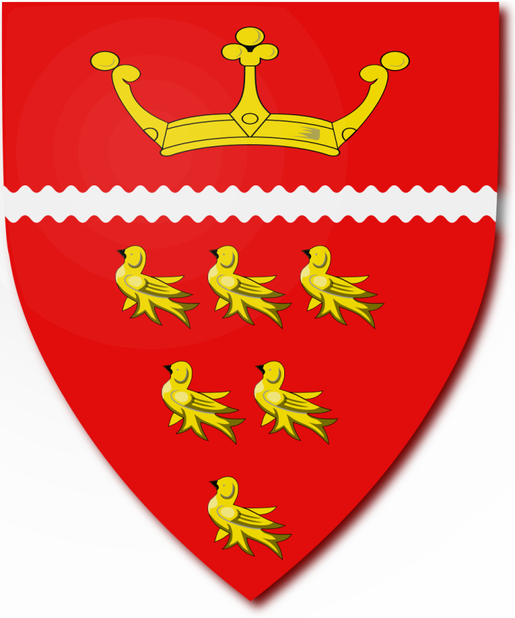 Shield image