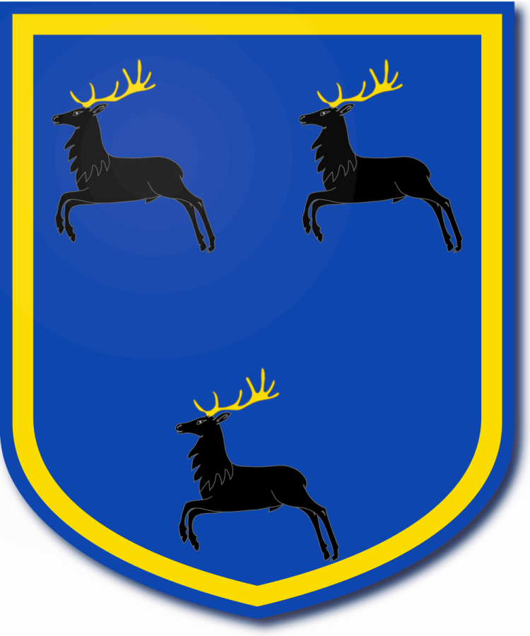 Shield image