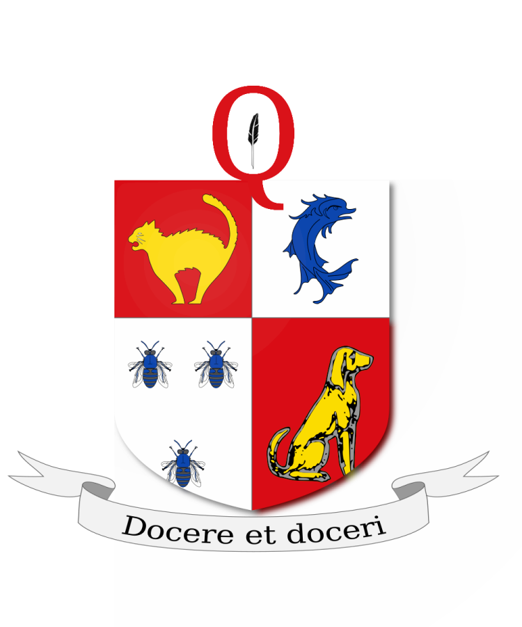 Shield image