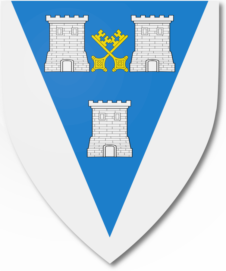 Shield image