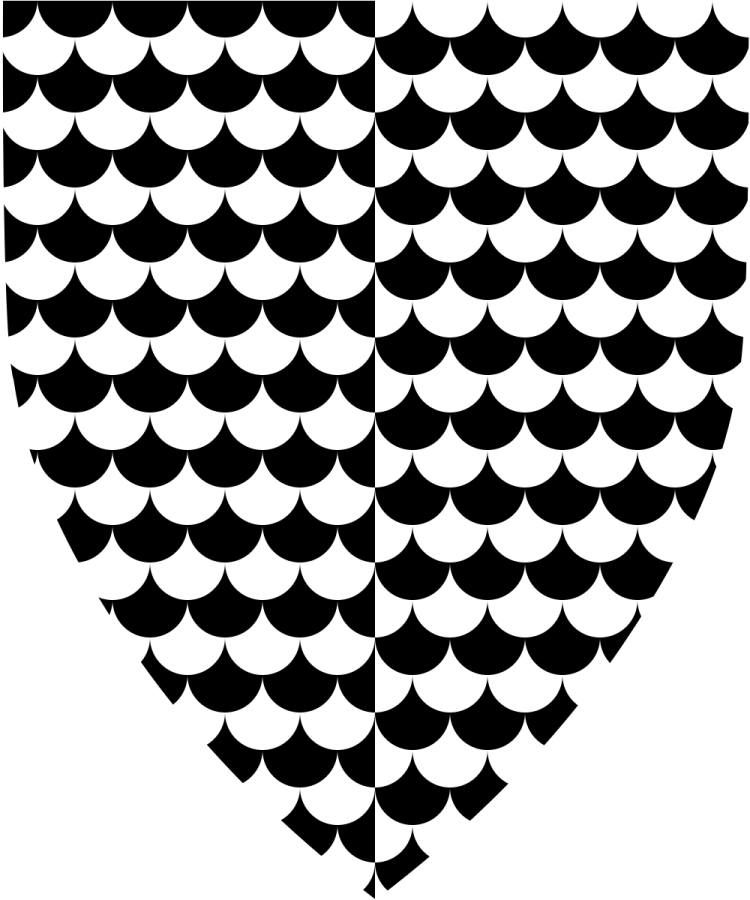 Shield image