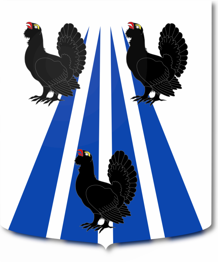 Shield image