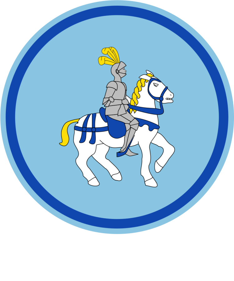 Shield image