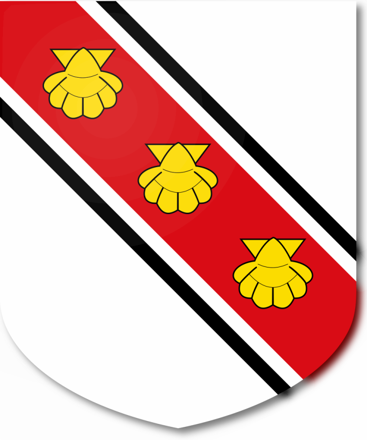 Shield image