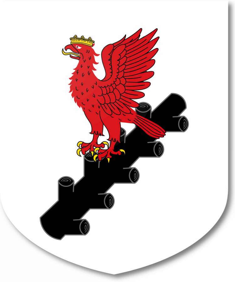 Shield image