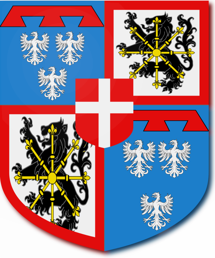 Shield image