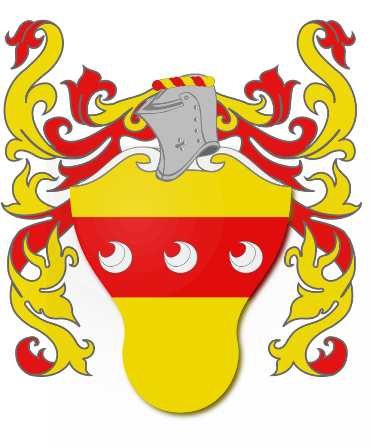 Shield image