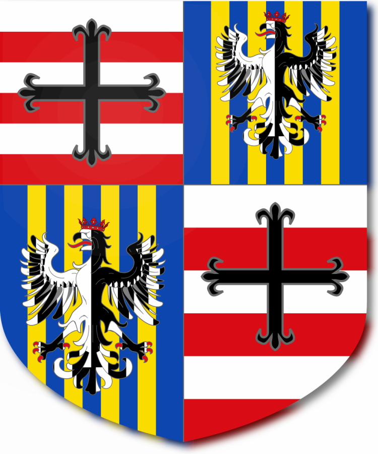 Shield image