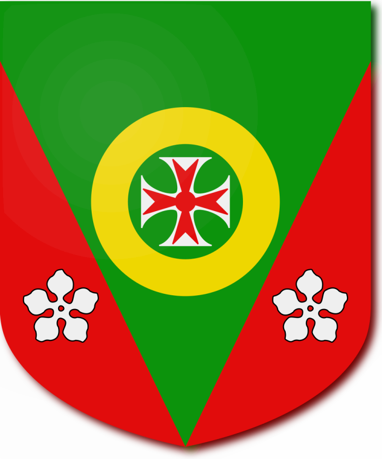 Shield image