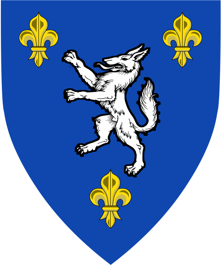 Shield image